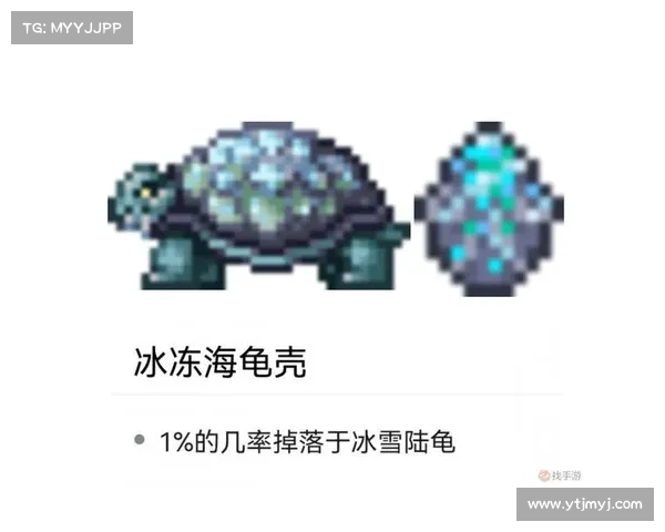 武魂玄冰加点攻略最强输出与防御策略全面解析 武魂玄冰加点攻略最强输出与防御策略全面解析