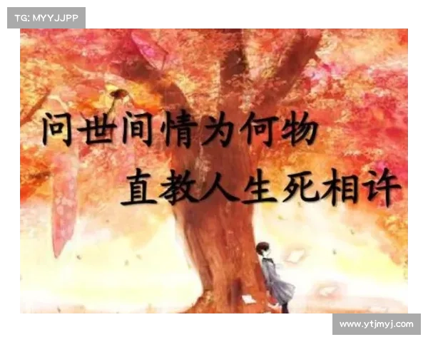 奥利塞传奇之路：从风雨飘摇到辉煌巅峰的英雄奋斗史