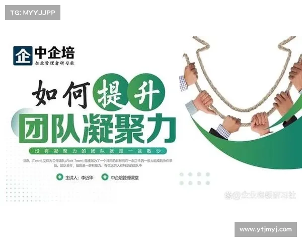 如何在会议中实现高效沟通与反馈提升团队协作效果