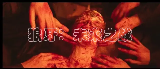 红杏视频网站
